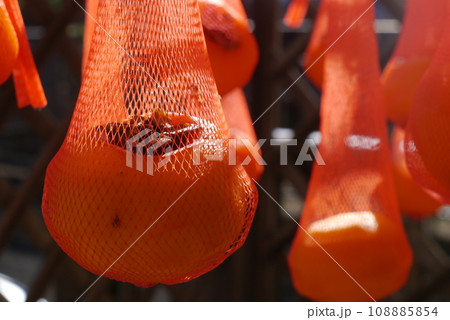 渋柿は干し柿にすると甘くなる。まるで魔法。 渋柿は干し柿にすると甘くなる。まるで魔法。 108885854