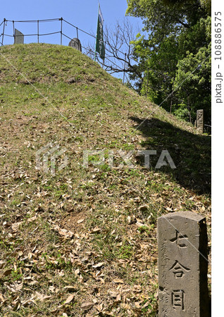 川口散歩：東沼神社　富士塚　川口市差間 108886575