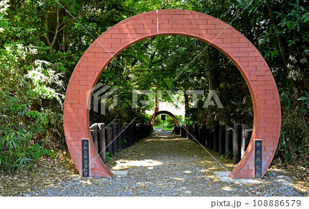 川口散歩:東沼神社 胎内くぐり 川口市差間 川口散歩:東沼神社 胎内くぐり 川口市差間 108886579