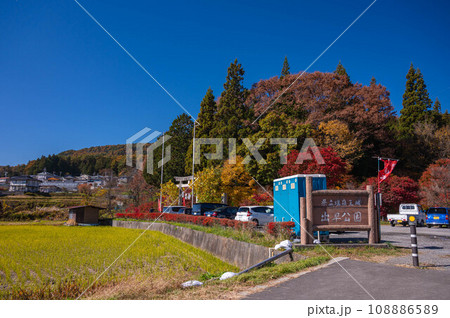 もみじ祭りの出早公園 108886589