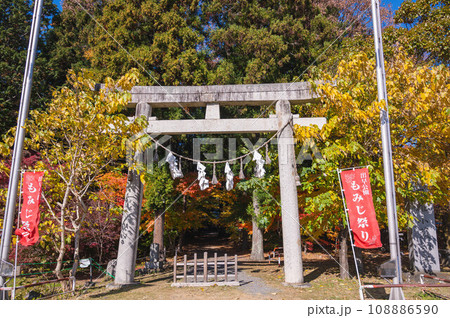 もみじ祭りの出早雄小萩神社 108886590