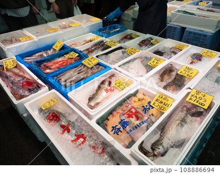 足立市場の鮮魚売り場　東京都 108886694