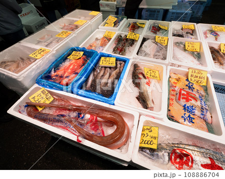 足立市場の鮮魚売り場　東京都 108886704