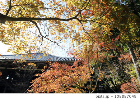 播州清水寺 大講堂(兵庫県 加東市) 播州清水寺 大講堂(兵庫県 加東市) 108887049