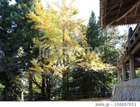 播州清水寺 大講堂風景(兵庫県 加東市) 播州清水寺 大講堂風景(兵庫県 加東市) 108887051