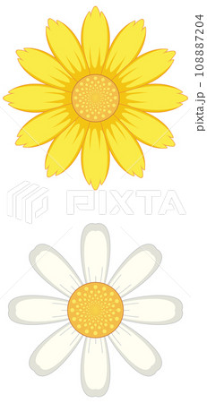 Simple White and Yellow Daisy Flower Illustration Simple White and Yellow Daisy Flower Illustration 108887204