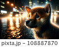 雨降る夜、大通りをゆく車を見ながらたたずむ迷子の子犬：AI生成画像 108887870