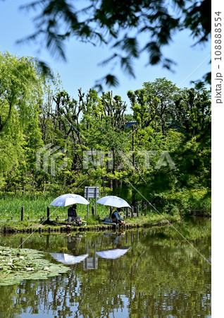 川口散歩：川口自然公園　川口市差間 108888554