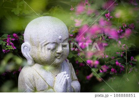 京都市伏見区勝念寺（かましきさん）に咲く清楚な秋の七草萩を撮影 108888851