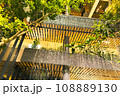 癒しの庭 108889130