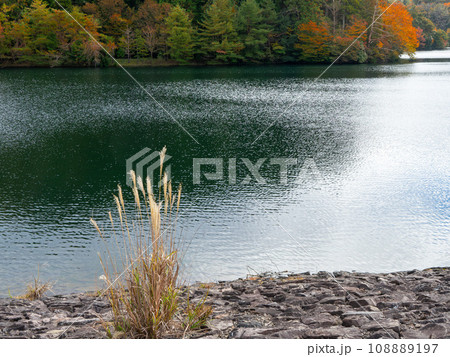 秋の水嶺湖 秋の水嶺湖 108889197