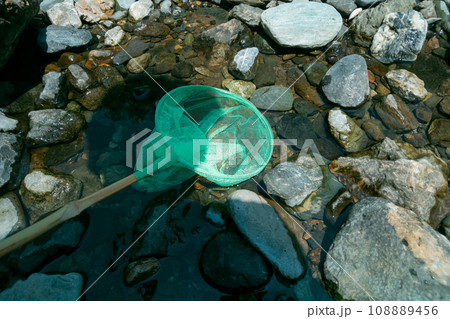 play in the river play in the river 108889456