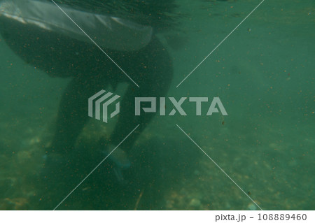 play in the river 108889460
