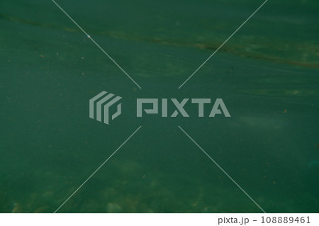play in the river 108889461