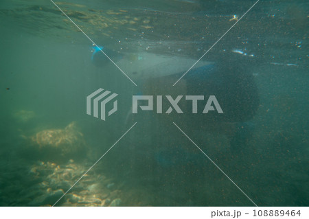 play in the river play in the river 108889464