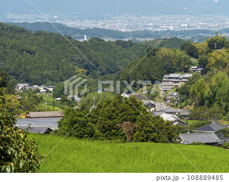新緑に覆われる明日香村細川の棚田 新緑に覆われる明日香村細川の棚田 108889485