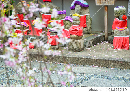 京都 紫雲山頂法寺 六角堂のお地蔵様と桜(京都市中京区) 京都 紫雲山頂法寺 六角堂のお地蔵様と桜(京都市中京区) 108891210