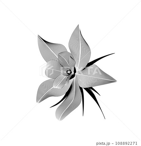 flower top view, line pattern. Vector illustration of engraving for concept design flower top view, line pattern. Vector illustration of engraving for concept design 108892271