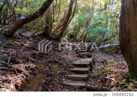 屋久島の高塚小屋から白谷雲水峡までの登山道 屋久島の高塚小屋から白谷雲水峡までの登山道 108892292