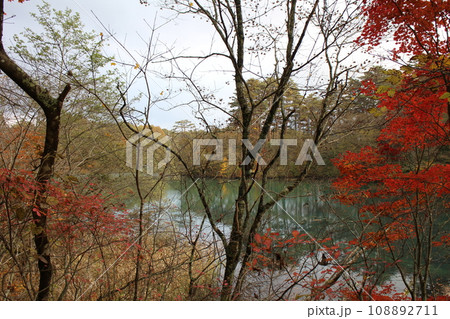 福島　裏磐梯　五色沼　毘沙門沼と紅葉の風景 108892711