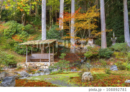 京都大原　紅葉が美しい勝林院　山王社・観音堂・宝篋印塔 108892781