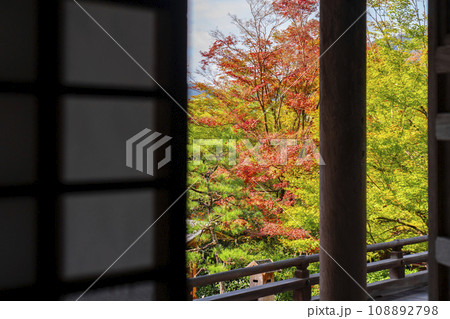 秋の京都大原　勝林院本堂から庭園を望む 108892798