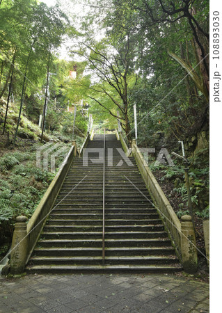 狸谷の階段 狸谷の階段 108893030