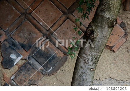 古い蔵の横壁の剝がれた模様とモミジクローズアップ 108893208