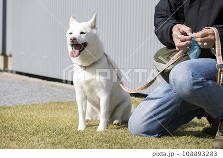 犬の散歩中うんちの処理をする飼い主 犬の散歩中うんちの処理をする飼い主 108893283