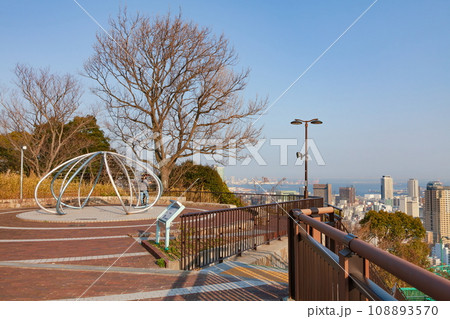 早春の諏訪山公園　神戸市中央区にて 108893570
