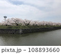 桜咲く桜並木 108893660