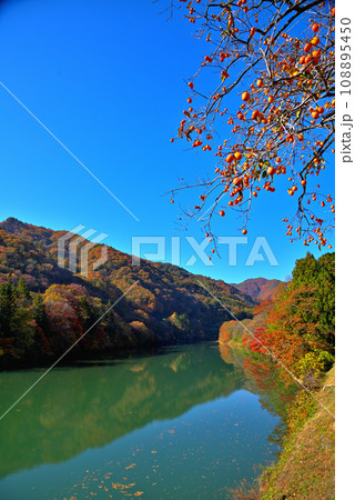 《長野県》木曽町　秋の王滝川木曽ダム湖 108895450