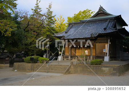 舎人氷川神社 本殿 東京都足立区舎人 舎人氷川神社 本殿 東京都足立区舎人 108895652