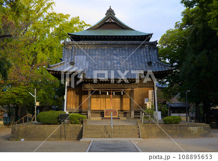 舎人氷川神社　本殿　東京都足立区舎人 108895653