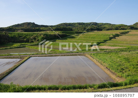 大笹波水田　 108895707