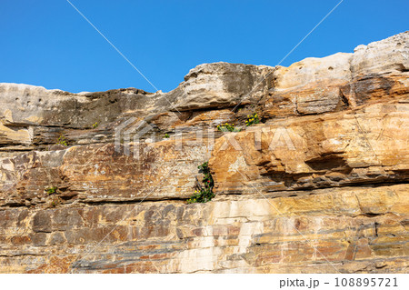 南紀白浜 千畳敷の奇岩たち 西日に照らされて輝く折り重なった岩と岩の隙間でけなげに咲く可憐な花 南紀白浜 千畳敷の奇岩たち 西日に照らされて輝く折り重なった岩と岩の隙間でけなげに咲く可憐な花 108895721