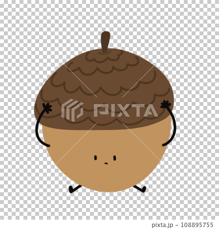 Chestnut boy 108895755