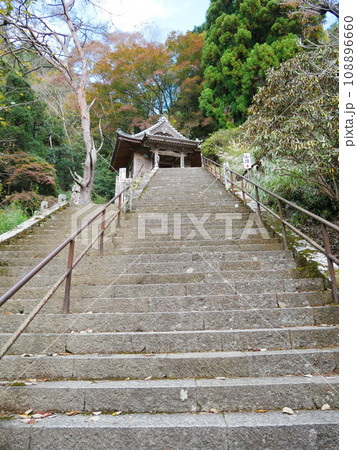 鳳来寺山の弘法堂に続く階段(愛知:新城) 鳳来寺山の弘法堂に続く階段(愛知:新城) 108896660