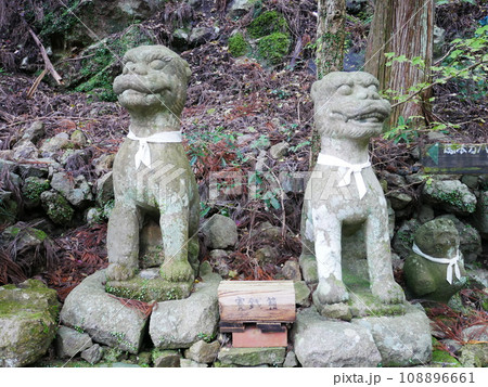 鳳来寺山の狛犬(愛知:新城) 鳳来寺山の狛犬(愛知:新城) 108896661