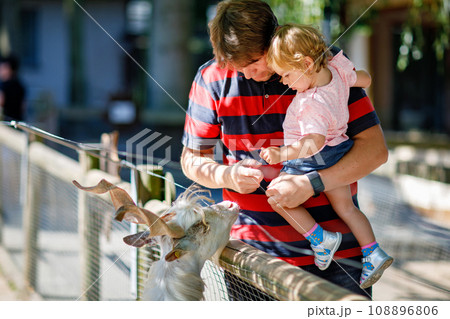 Adorable cute toddler girl and young father feeding little goats and sheeps on a kids farm. Beautiful baby child petting animals in petting zoo. man and daughter together on family weekend vacations. Adorable cute toddler girl and young father feeding little goats and sheeps on a kids farm. Beautiful baby child petting animals in petting zoo. man and daughter together on family weekend vacations. 108896806