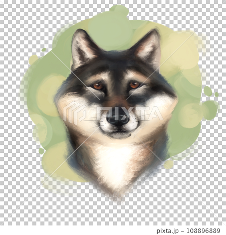 Adorable dog portrait on green 108896889