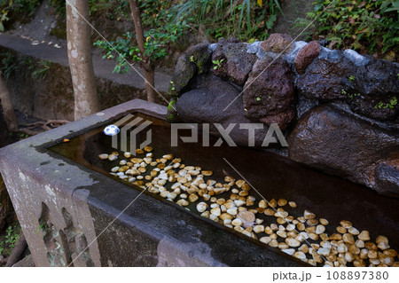 神社にある水に浮かぶ石玉 108897380