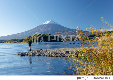 川口湖畔から望むコスモス畑と冠雪した富士山 川口湖畔から望むコスモス畑と冠雪した富士山 108898404