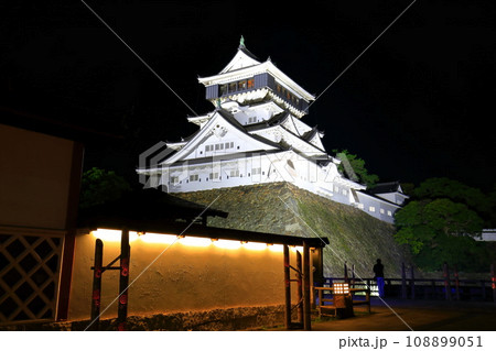 【福岡県】小倉城天守閣の夜景 108899051