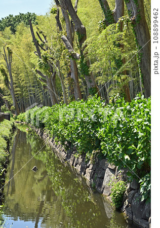 川口散歩：せせらぎ　川口市東内野 108899462