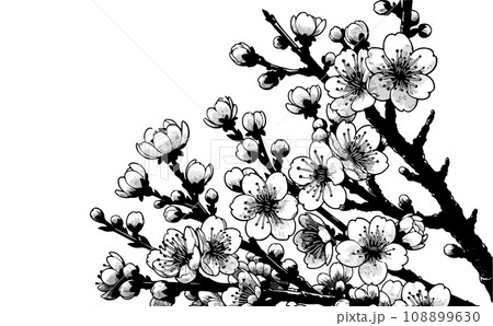 桜の枝と満開な桜と花びらのさくらの花のイラスト。日本の伝統的な春の花のベクターイラスト-生成AI 108899630