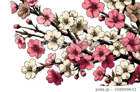 桜の枝と満開な桜と花びらのさくらの花のイラスト。日本の伝統的な春の花のベクターイラスト-生成AI 108899631