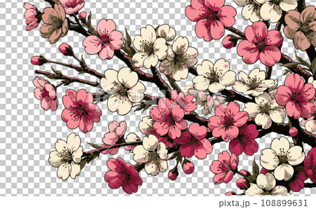 桜の枝と満開な桜と花びらのさくらの花のイラスト。日本の伝統的な春の花のベクターイラスト-生成AI 108899631