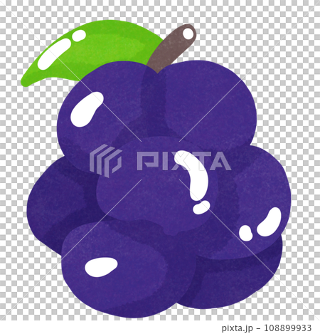 grapes grapes 108899933