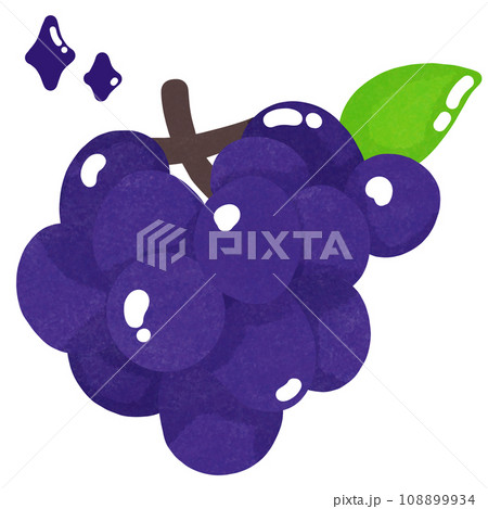 grapes grapes 108899934